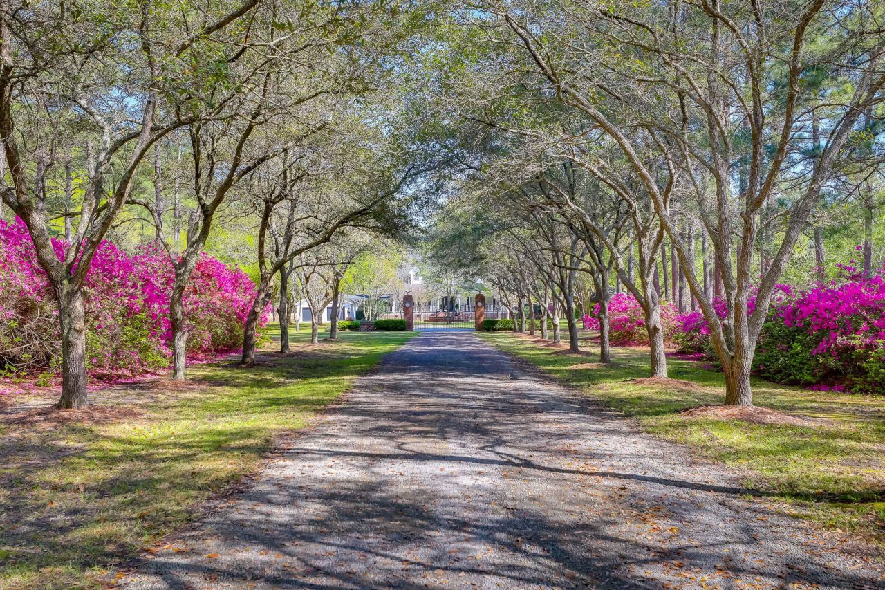 1068 Witherbee Road Photo 4