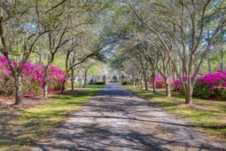 1068 Witherbee Road photo 4