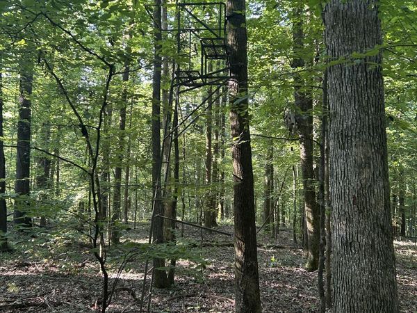 Avant Road, Crenshaw, MS 38621