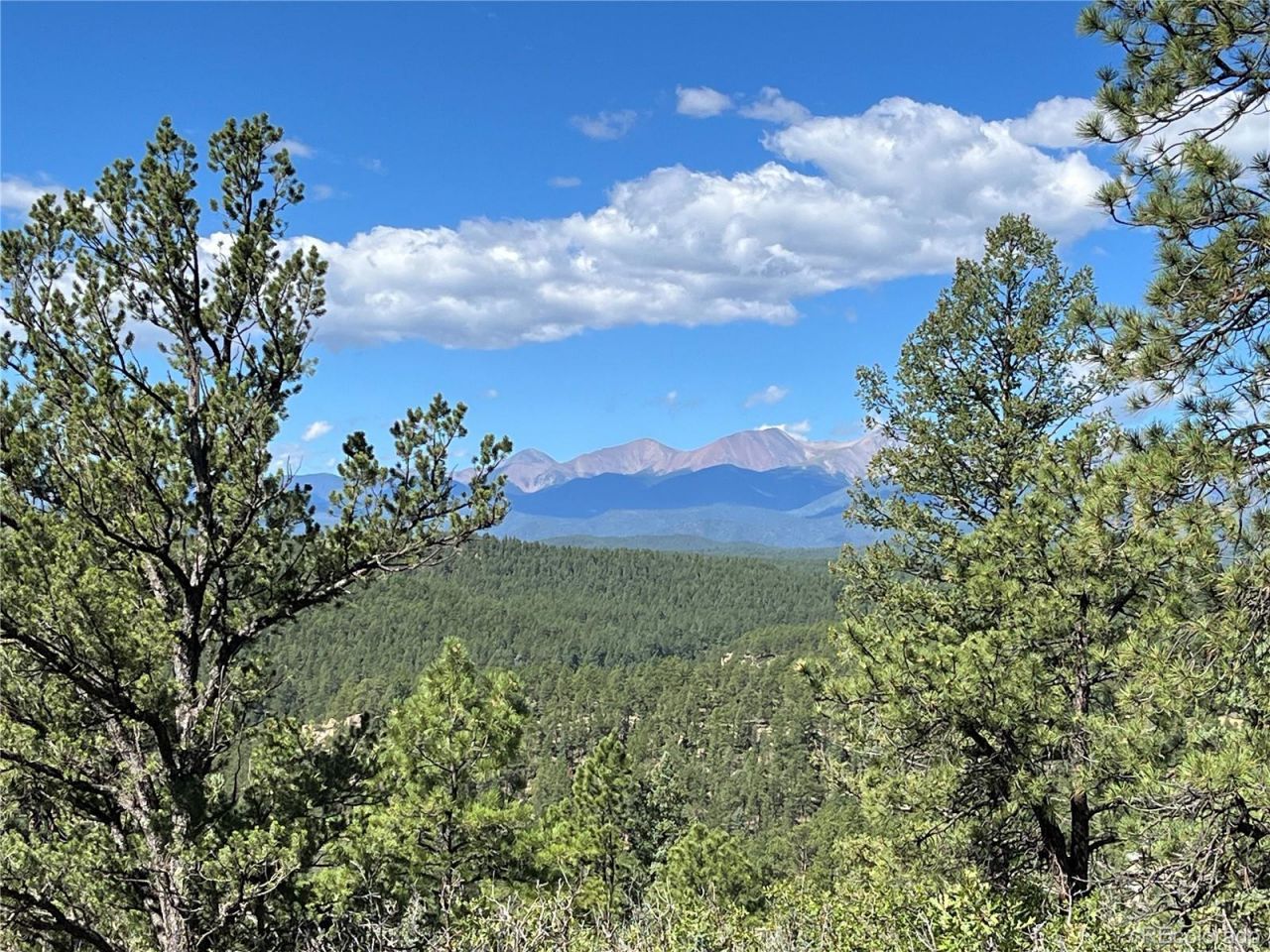 14200 County Rd 28.8, Weston, CO 81091 Main Photo