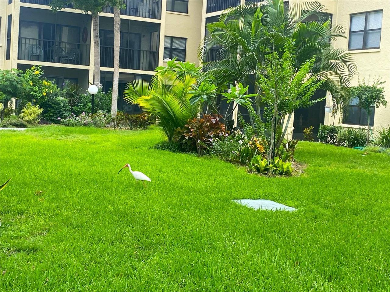 425 30th Avenue W, Unit C211, Bradenton, FL 34205 Photo