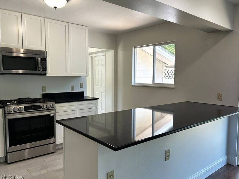 10263 Wye Road, Chesterland, OH 44026 Photo 5