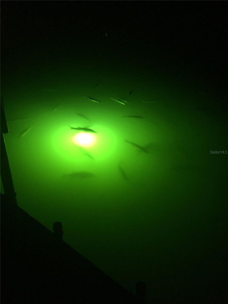 4385 Pompano Lane, Palmetto, FL 34221 Photo