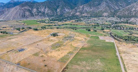 004 Deerhaven, Genoa, NV 89411 Photo