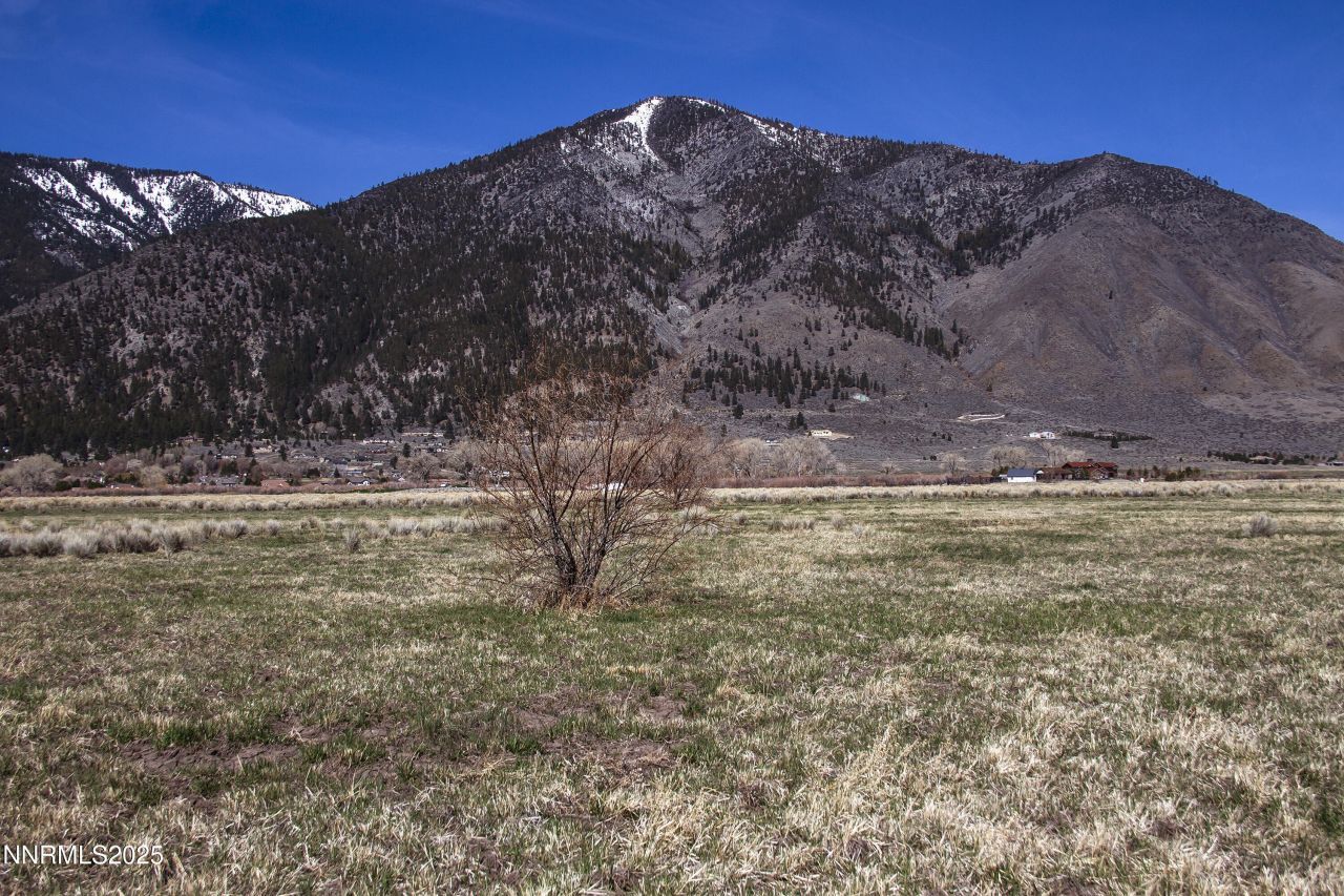 004 Deerhaven, Genoa, NV 89411 Photo