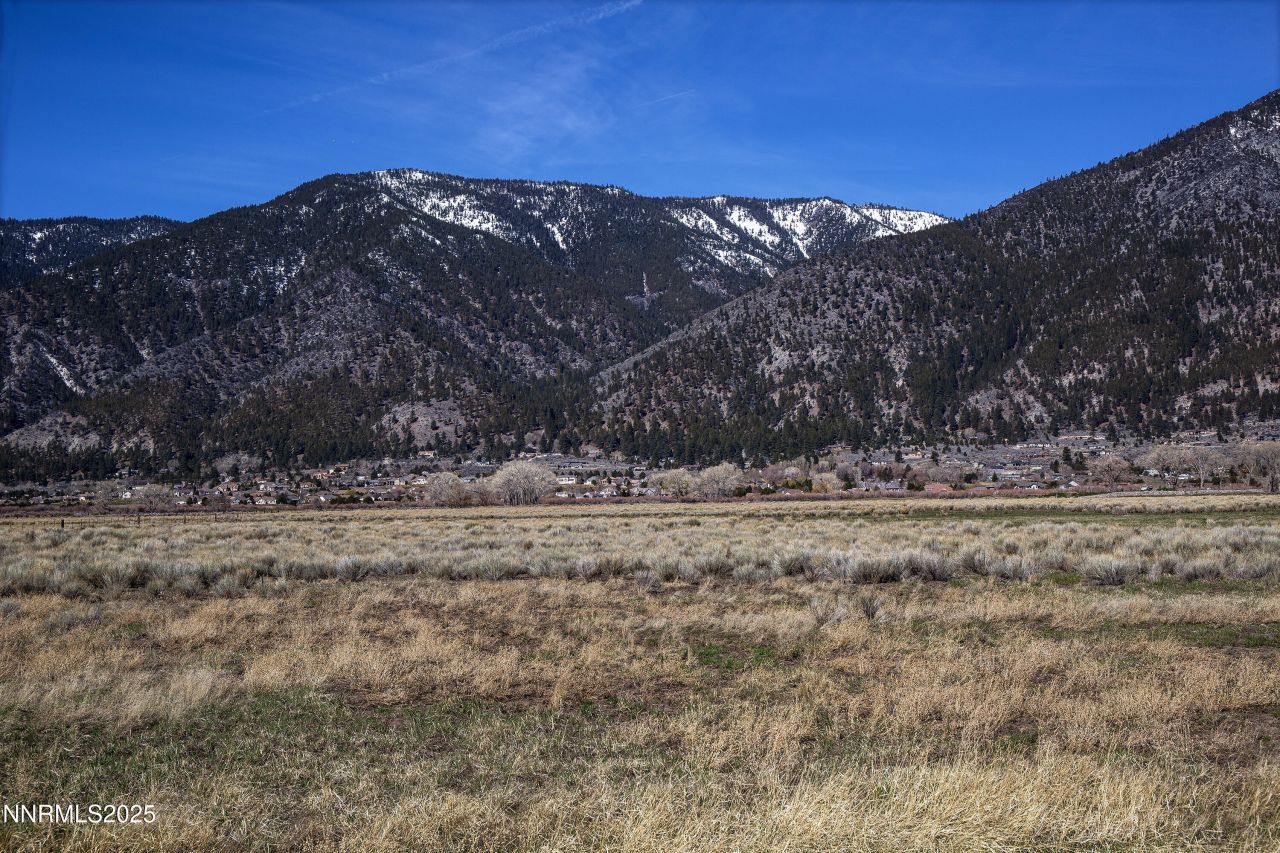 004 Deerhaven, Genoa, NV 89411 Photo