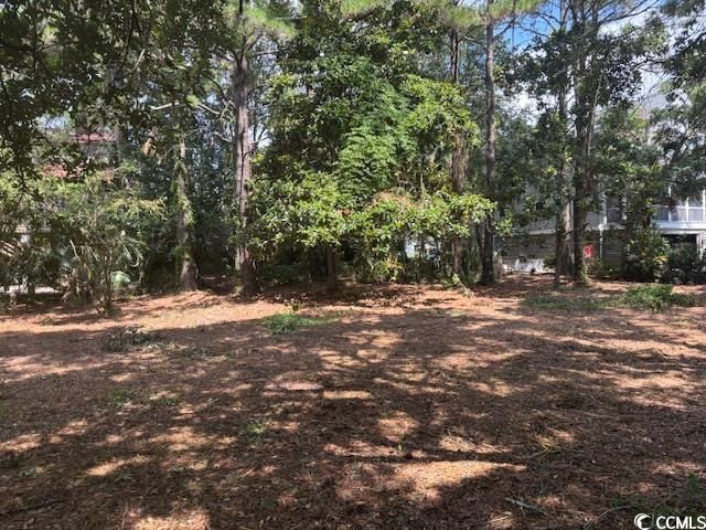 59 Hook Dr. Photo 13