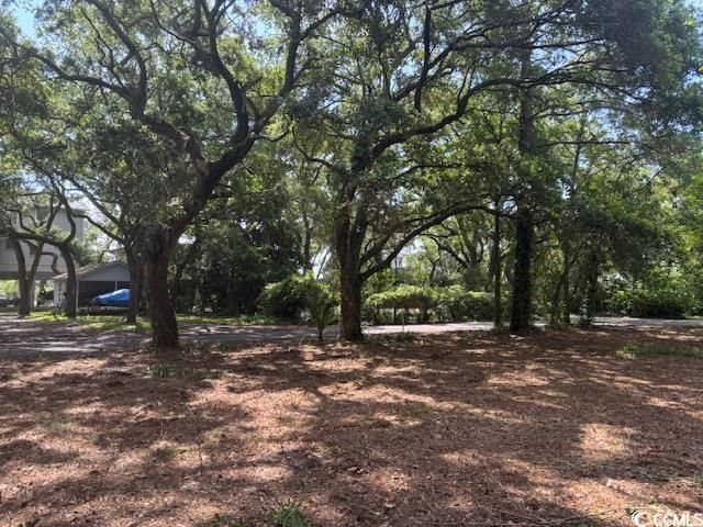 59 Hook Dr. Photo 17