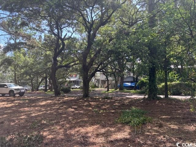 59 Hook Dr. Photo 18