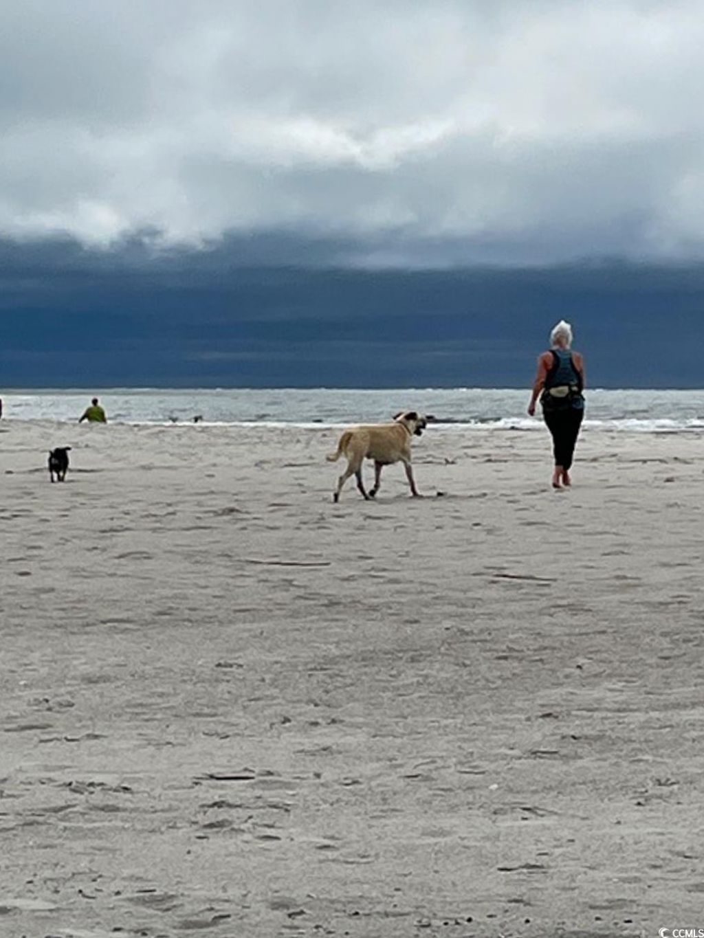 59 Hook Dr. Photo 20