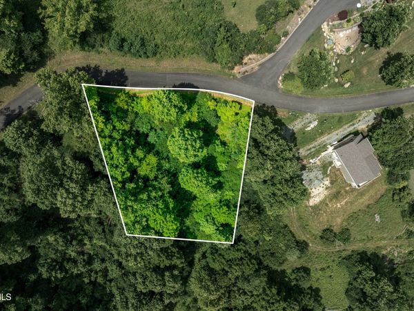 Lot 10 Lake Ridge Road, Butler, TN 37640