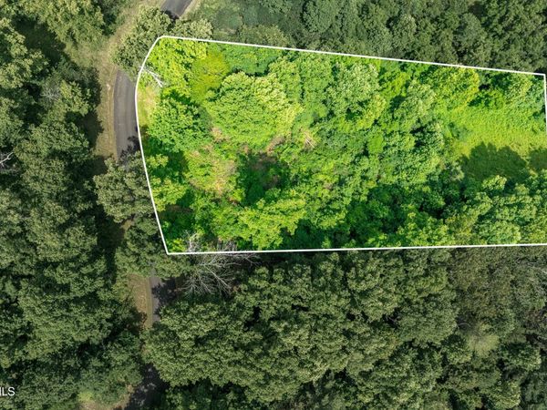 Lot 11 Lake Ridge Road, Butler, TN 37640