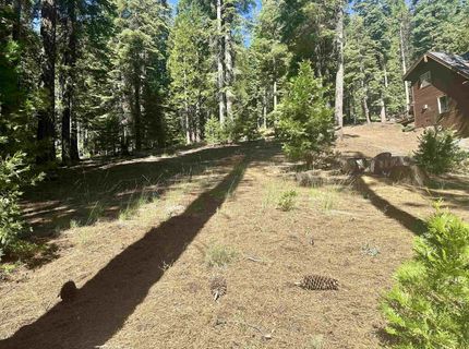 623 Cedar Canyon Road, Lake Almanor, CA 96137 Photo