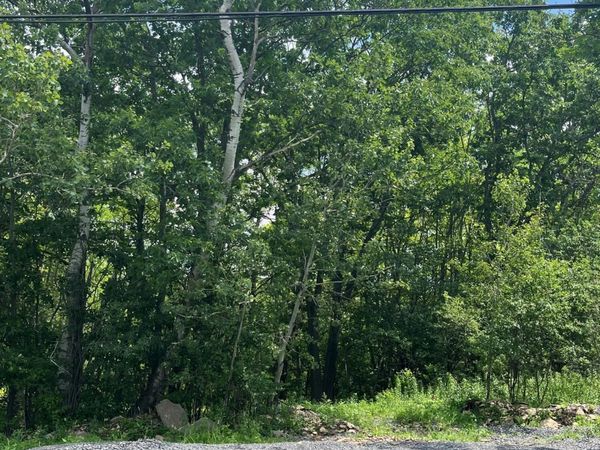 L41 N Mansion Road, Duanesburg, NY 12056