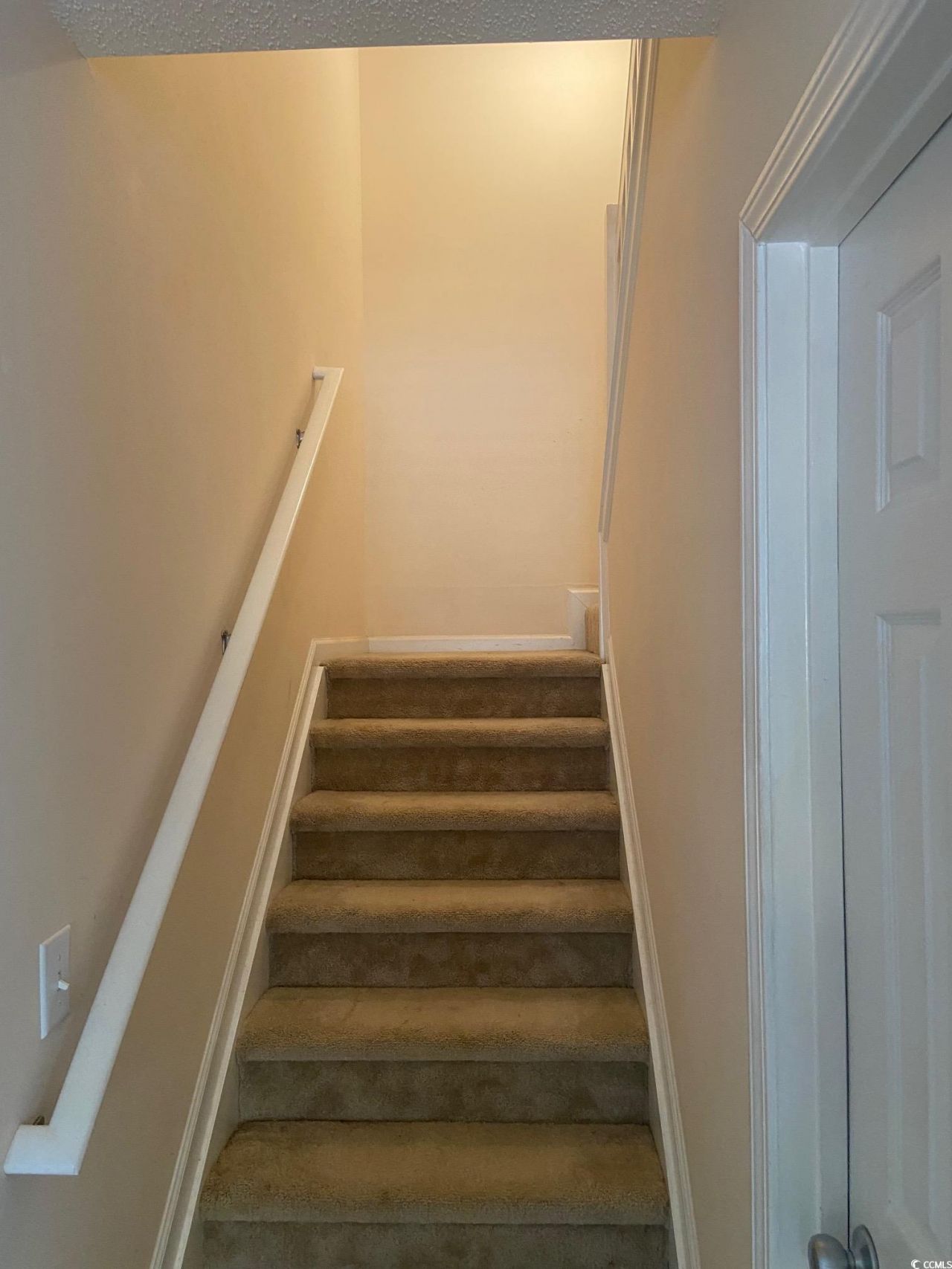 110 Palisade Loop Photo 12