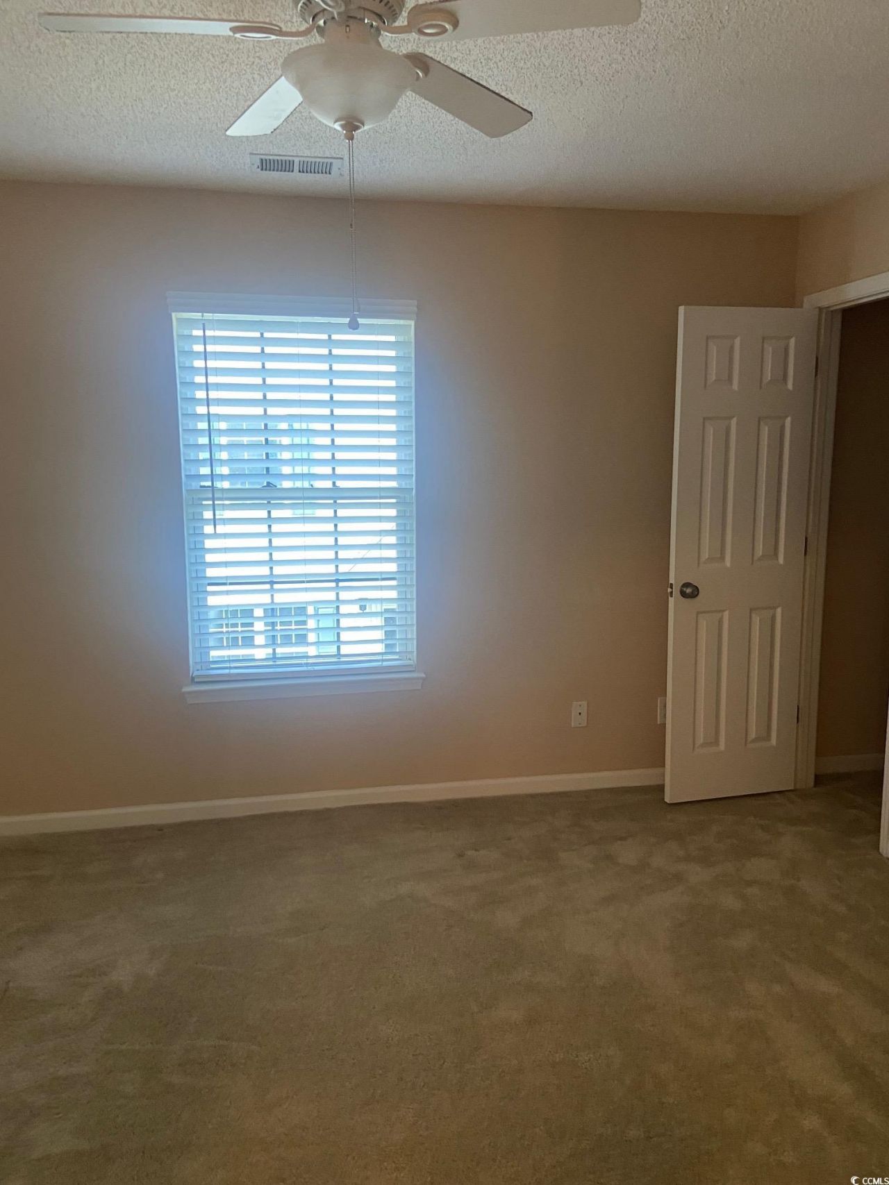 110 Palisade Loop Photo 15