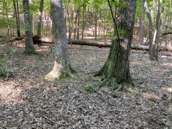 90 Cardinal Cove, Big Canoe, GA 30143