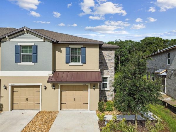 17516 NECTAR FLUME DRIVE, LAND O LAKES, FL 34638