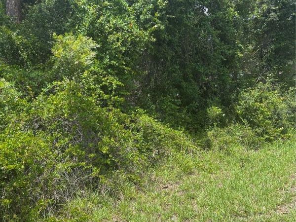 00 SE 186TH COURT, OCKLAWAHA, FL 32179