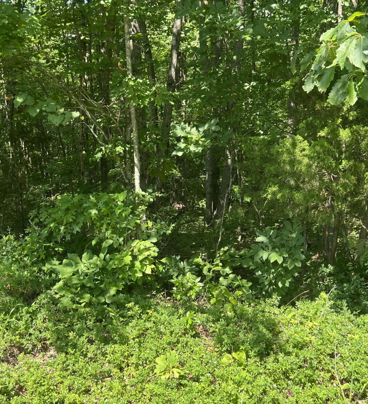 1111 Hwy 3285, Monticello, KY 42633 Main Photo