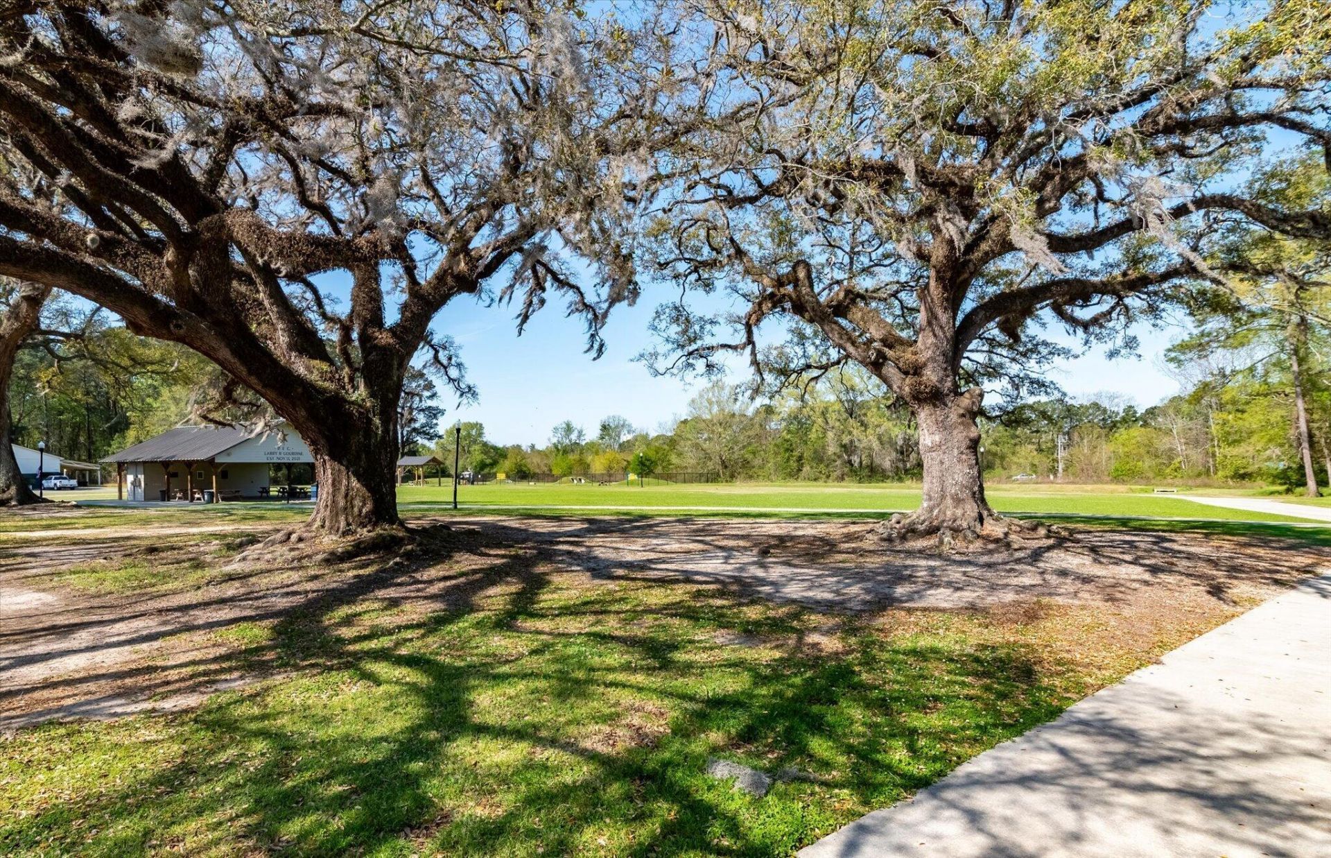 432 Duskywing Drive Photo 37