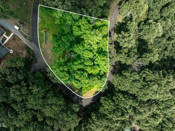 Lot 18 Lake Ridge Road, Butler, TN 37640