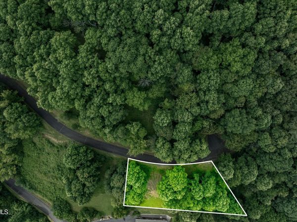 Lot 20 Lake Ridge Road, Butler, TN 37640