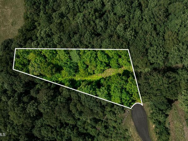 Lot 30 Lake Ridge Road, Butler, TN 37640