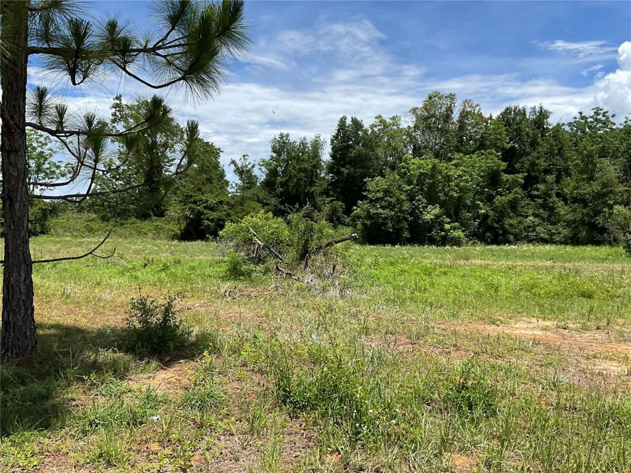 101 Hickory Lane, Interlachen, FL 32148 Photo