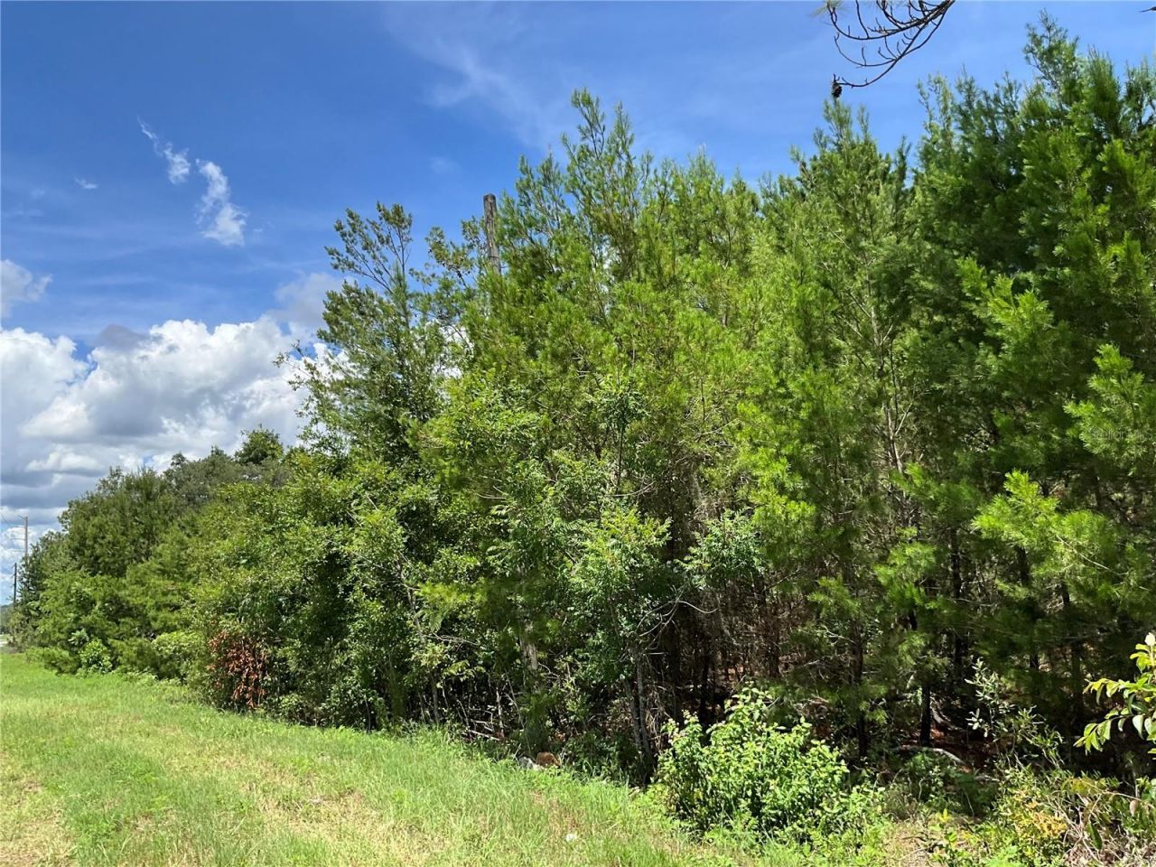 101 Hickory Lane, Interlachen, FL 32148 Photo