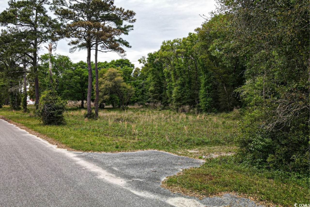 Tract 2 Little River Neck Rd. Photo 10