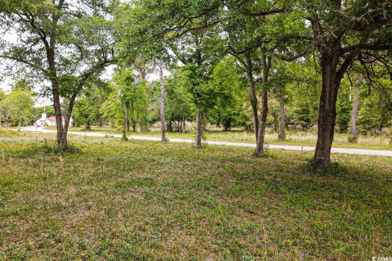 Tract 2 Little River Neck Rd. Photo 4