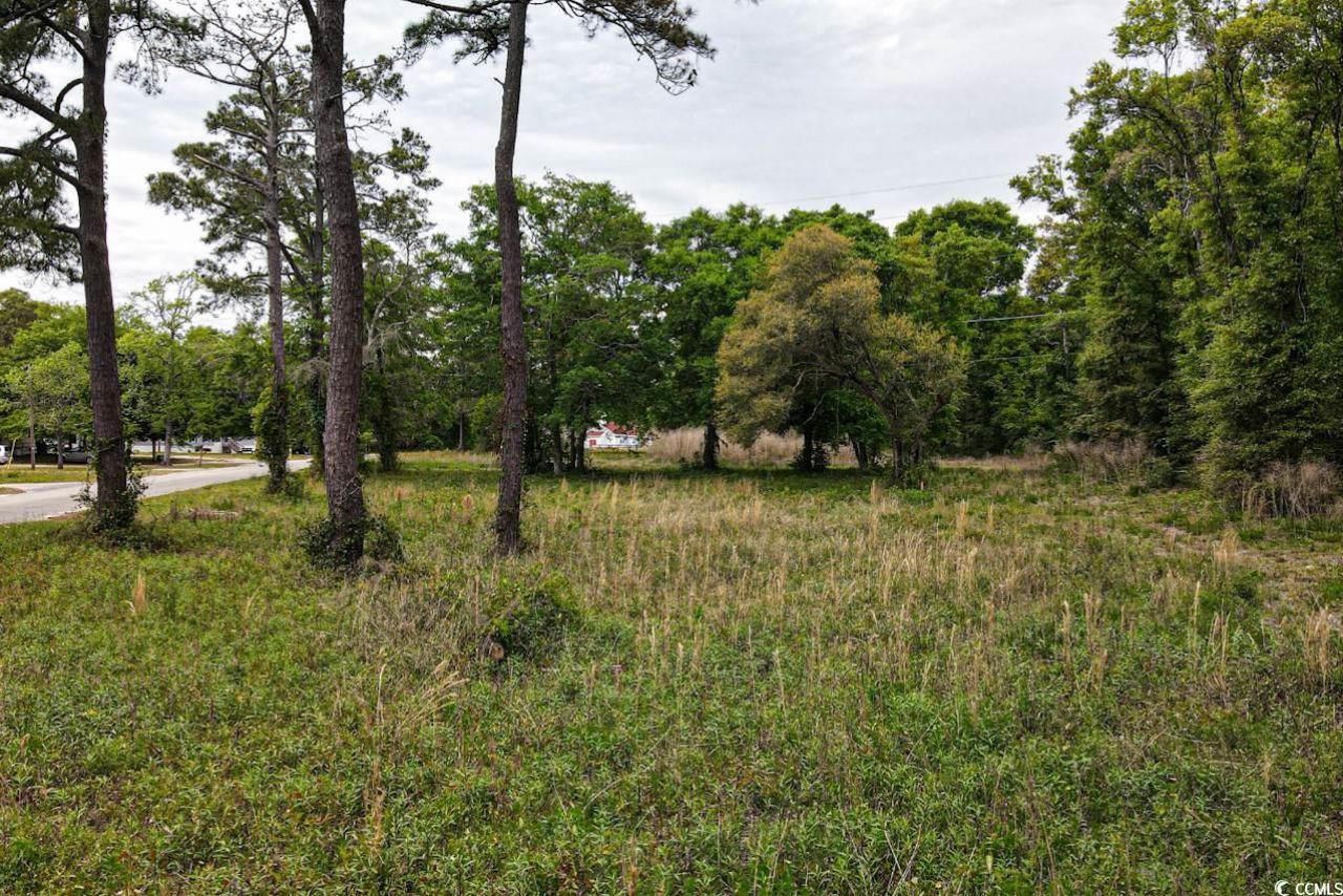 Tract 2 Little River Neck Rd. Photo 5