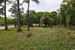 Tract 2 Little River Neck Rd. photo 4