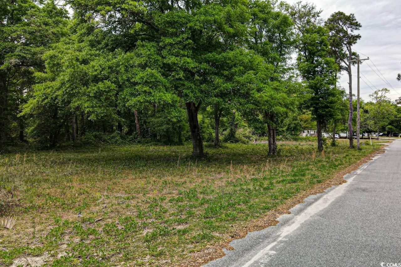 Tract 2 Little River Neck Rd. Photo 8