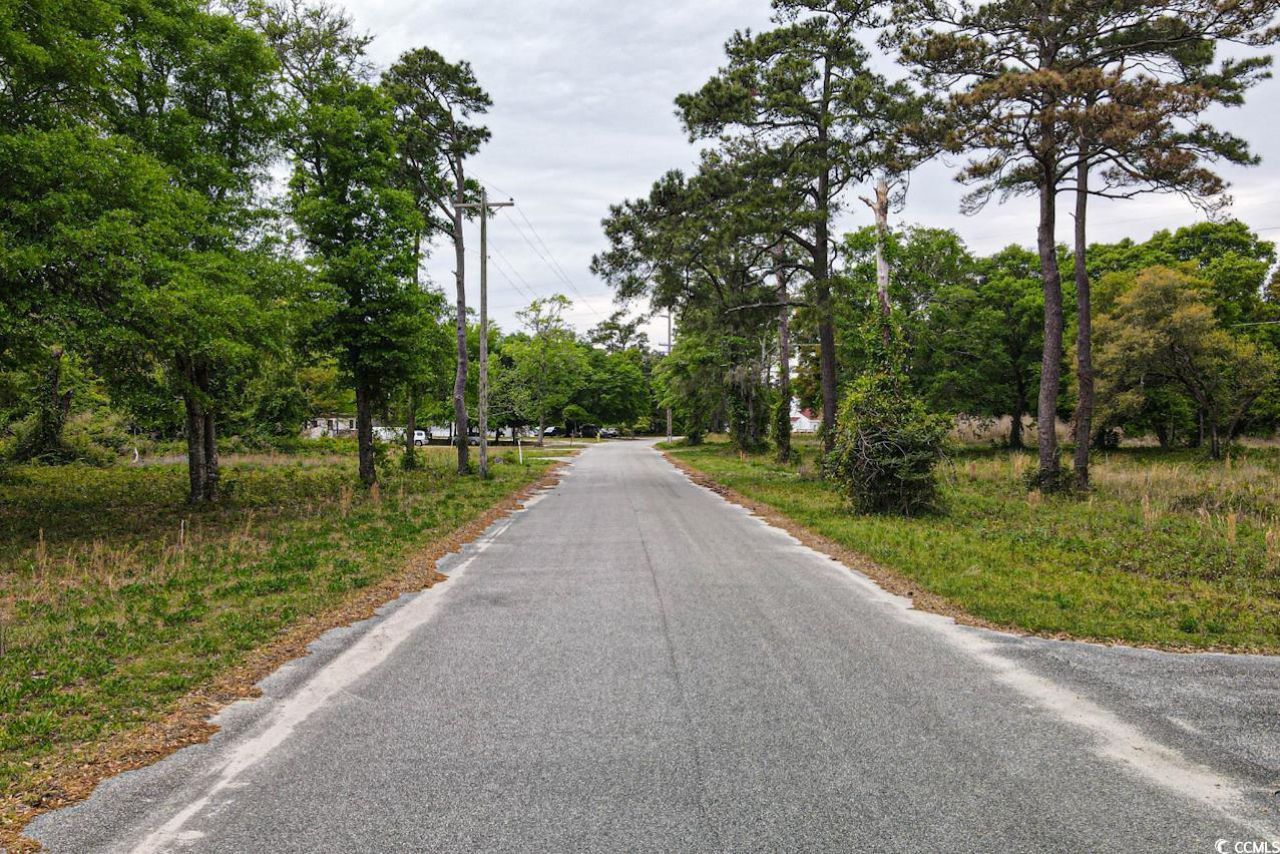 Tract 2 Little River Neck Rd. Photo 9