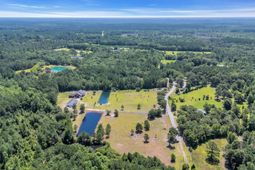 602 Alligator Rd. photo 4