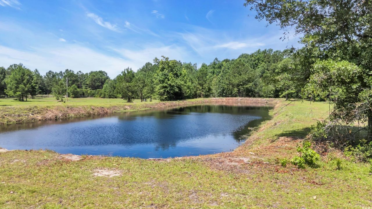 602 Alligator Rd. Photo 5