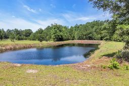 602 Alligator Rd. photo 4