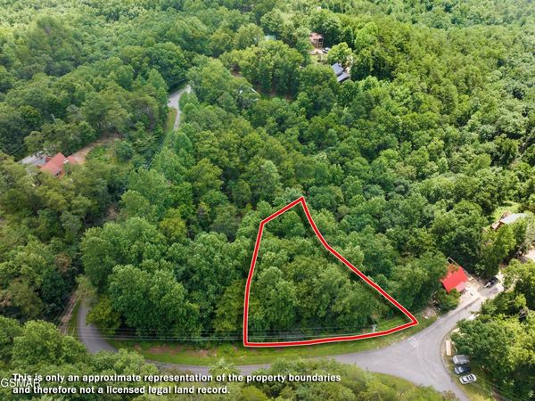 1005 Laurel Rd Road, Townsend, TN 37882