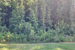 Lot 85 Clouds Creek Circle photo 4