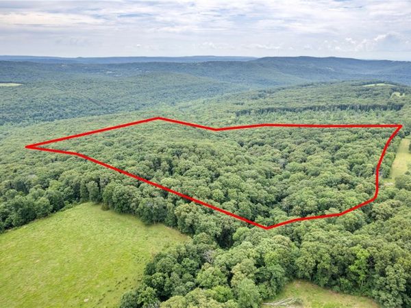 47 Acres Lucky Road, Winslow, AR 72959