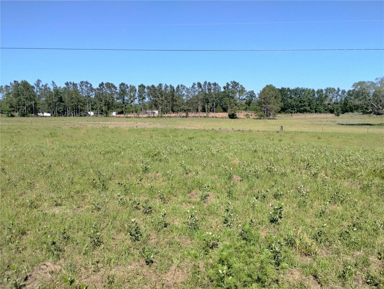8335 168th Street, Mc Alpin, FL 32062 Photo