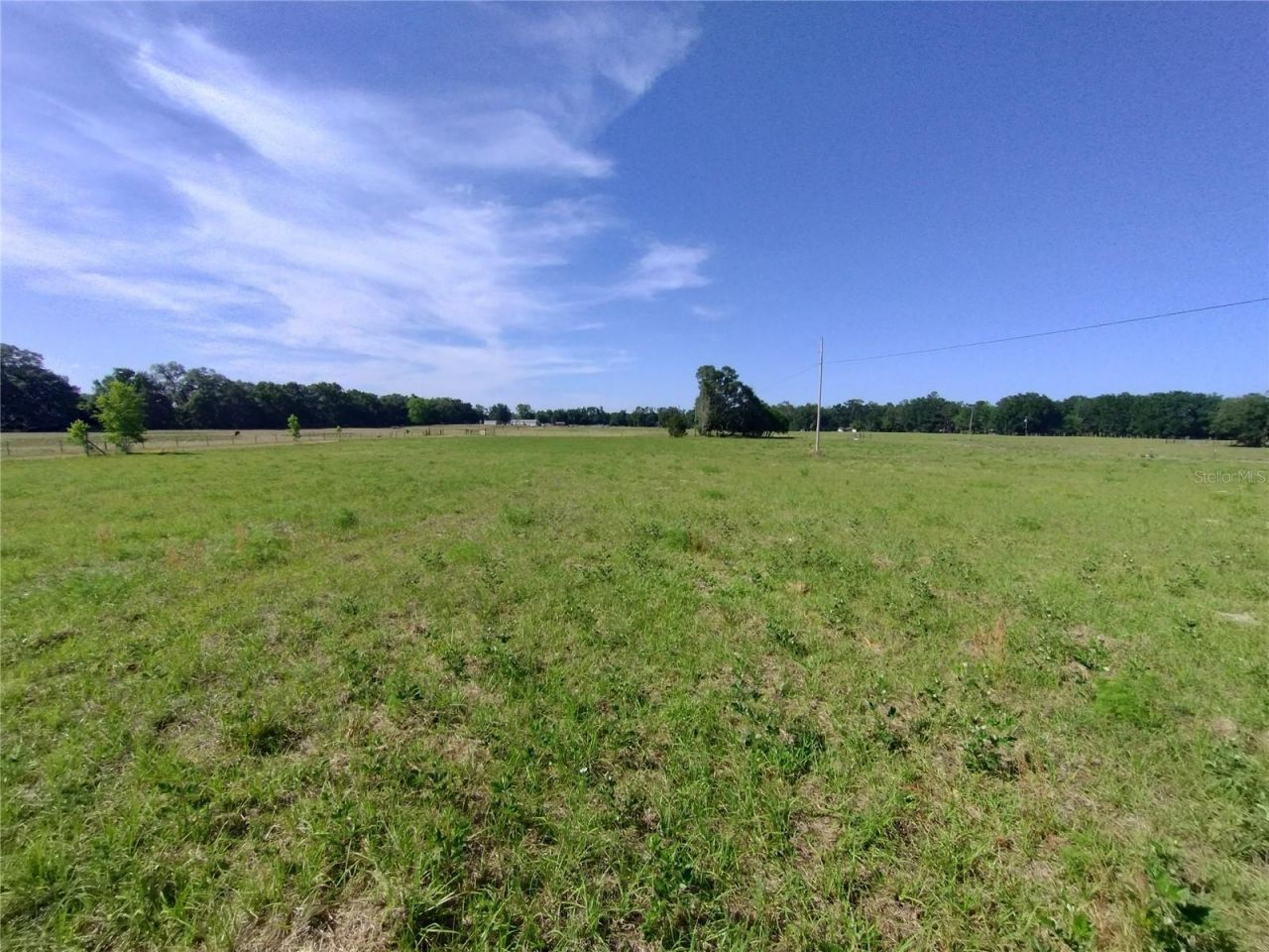 8335 168th Street, Mc Alpin, FL 32062 Photo