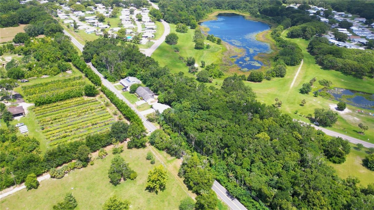 3805 Cohen Drive, Zellwood, FL 32798 Photo