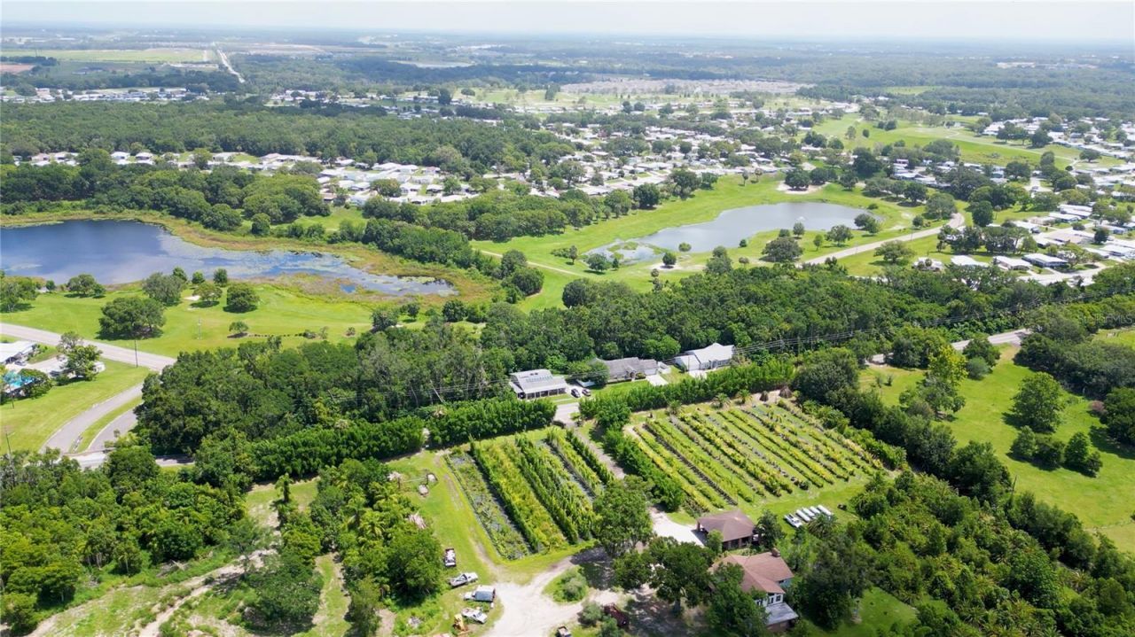 3805 Cohen Drive, Zellwood, FL 32798 Photo