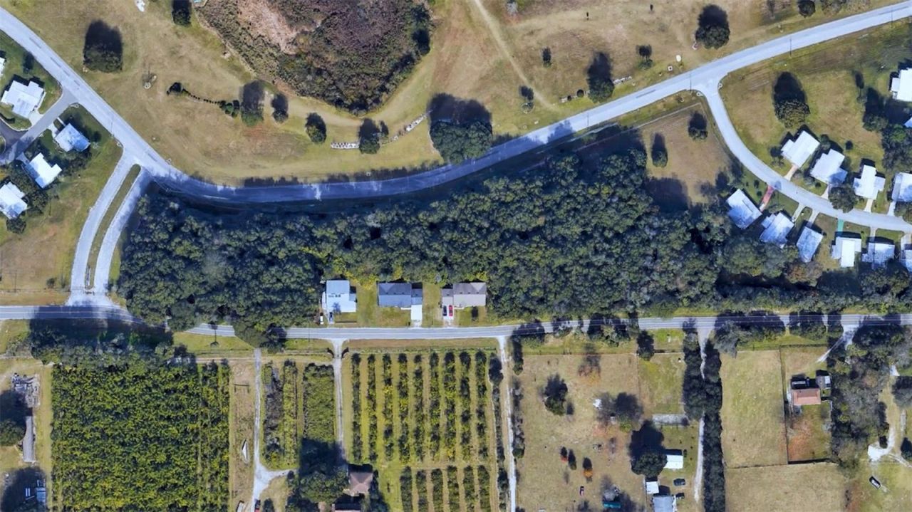 3805 Cohen Drive, Zellwood, FL 32798 Photo