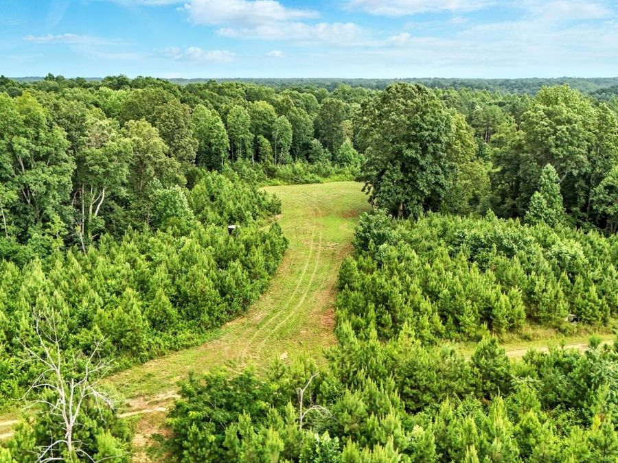 Property Image 30