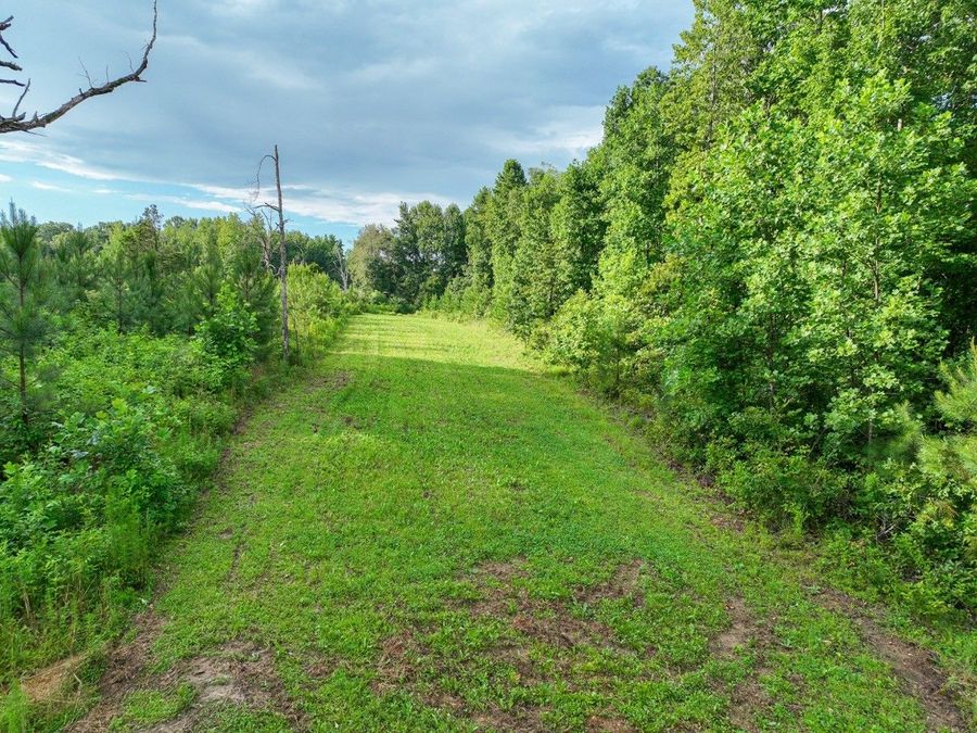 Property Image 61