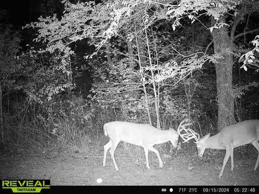Property Image 79